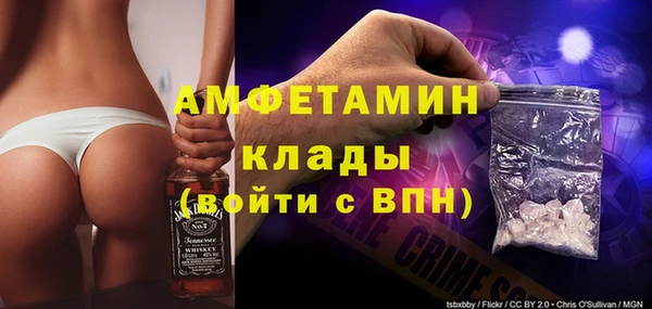СК Дмитровск