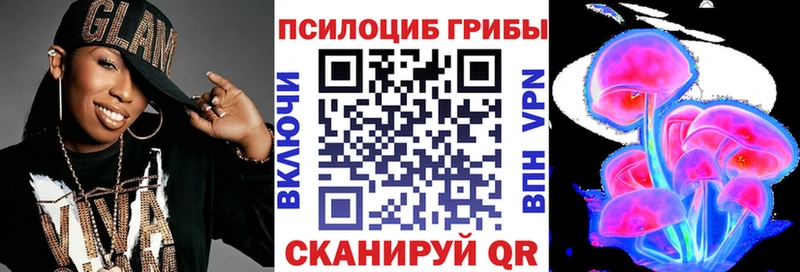 купить   Березники  Галлюциногенные грибы Psilocybe 